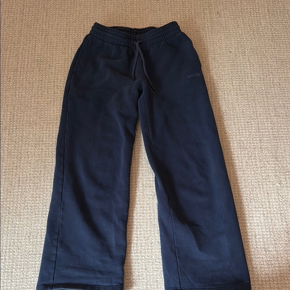 Women’s 2xs Sweatfleece Aritzia Sweatpants. In amazing condition!